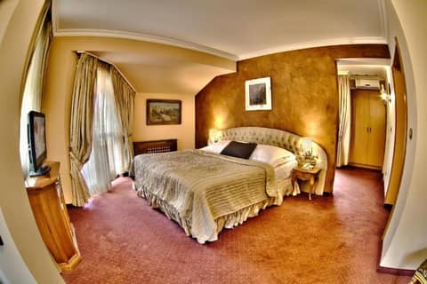 Meg-Lozenetz Hotel — hotel room