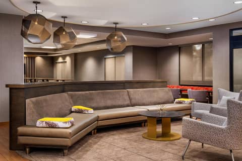 SpringHill Suites Sarasota Bradenton — photo 7