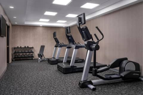 SpringHill Suites Sarasota Bradenton — photo 8