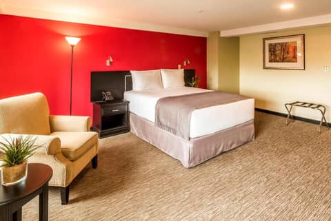 Urban Green Hotel & Suites — photo 7