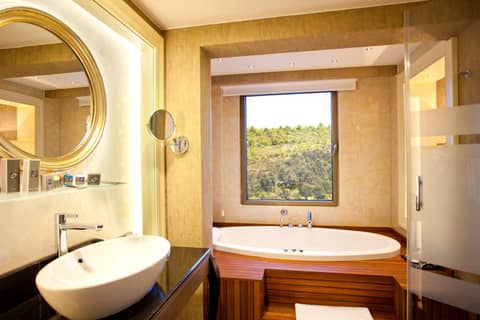Limak Eurasia Luxury Hotel — photo 8