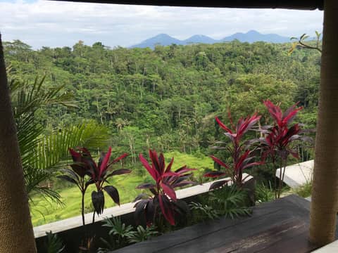 Ayuterra Resort — photo 2