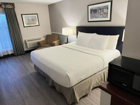 Divya Sutra Plaza and Conference Centre Calgary Airport — photo 4
