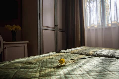 Hotel Donatello — photo 9