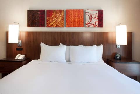 Hilton Palm Springs — hotel room