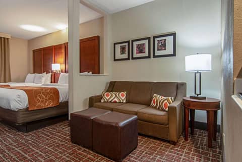 Comfort Suites NW Dallas Near Love Field — photo 2