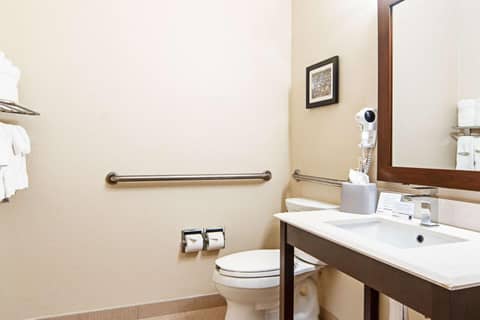 Comfort Suites NW Dallas Near Love Field — photo 4
