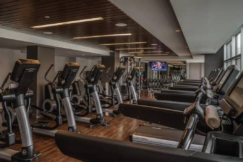 Hyatt Regency Houston Galleria — photo 4