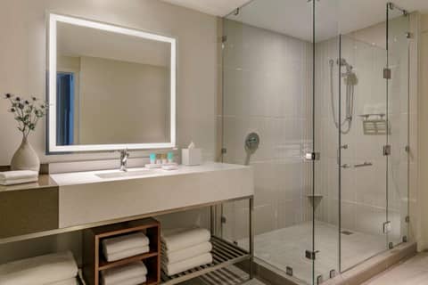 Hyatt Regency Houston Galleria — photo 5