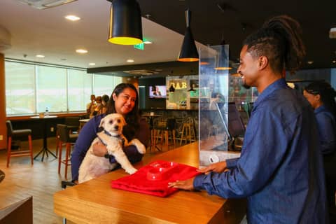 ibis Rio de Janeiro Santos Dumont — human