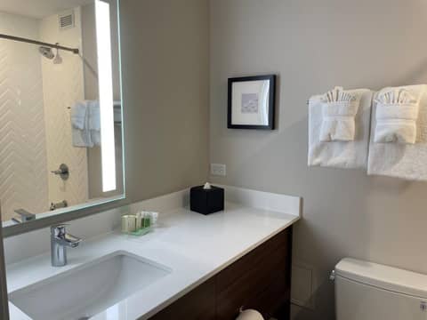 Holiday Inn & Suites Chicago-Downtown by IHG — photo 5