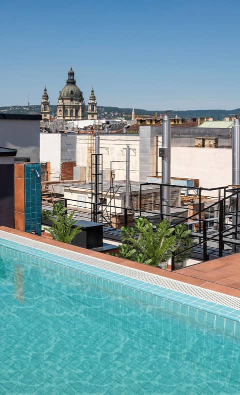SWU Magazine Rooms — roof