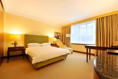 Deluxe Double Room — the supplier's photographs — photo 1