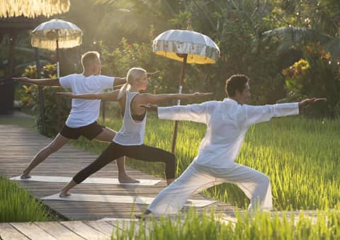 Alaya Resort Ubud — photo 7