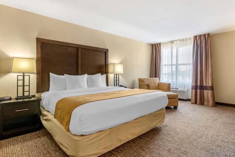 Comfort Inn & Suites Allen Park - Dearborn — photo 3