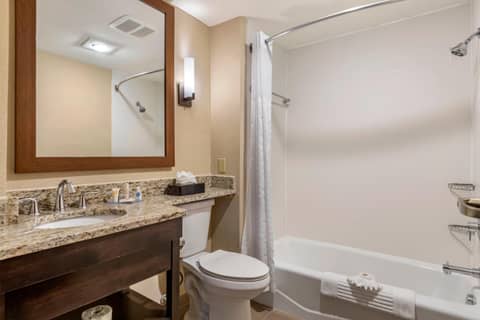 Comfort Inn & Suites Allen Park - Dearborn — photo 4