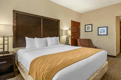 Comfort Inn & Suites Allen Park - Dearborn — photo 6