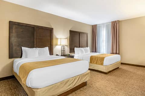 Comfort Inn & Suites Allen Park - Dearborn — photo 7