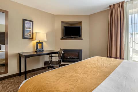 Comfort Inn & Suites Allen Park - Dearborn — photo 9