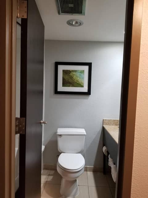 Wyndham Garden Hotel - Jacksonville — photo 5