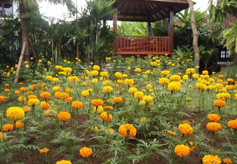 Yulia Village Inn Ubud — other