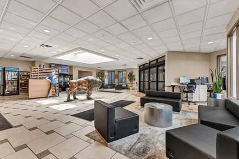 Buffalo Airport Hotel — photo 6