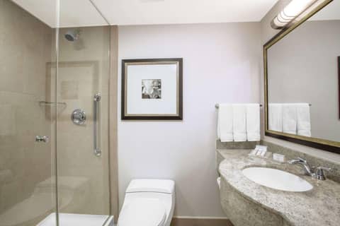 Hilton Garden Inn West 35th Street — photo 7