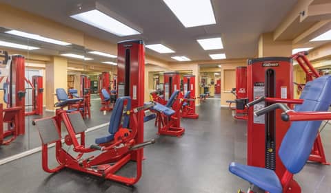 Club Wyndham Avenue Plaza — activities & amenities