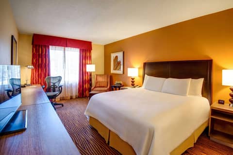 Hilton Garden Inn Tampa Ybor Historic District — photo 9