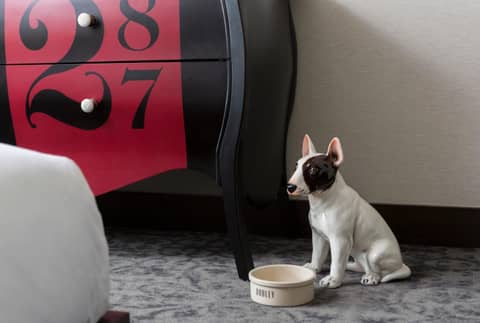 Kimpton Journeyman Hotel by IHG — photo 3