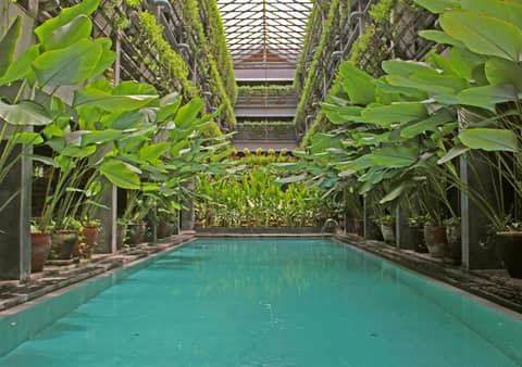 Greenhost Boutique Hotel Prawirotaman — recepcion & lobby