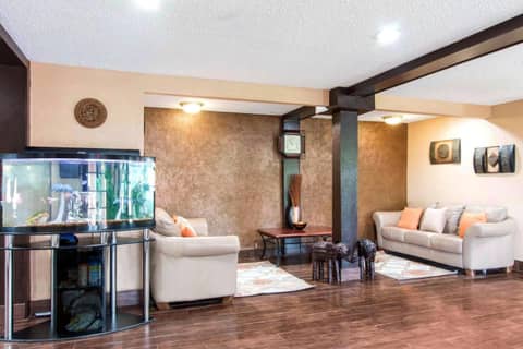 Quality Inn & Suites I-35 near Frost Bank Center — photo 4