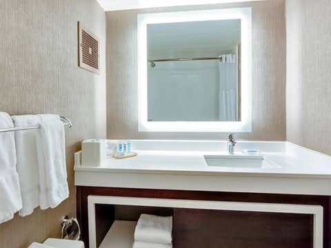 Sonesta Atlanta Northwest Galleria - Marietta — bathroom