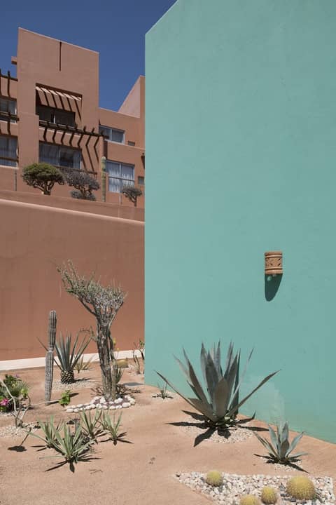 Club Regina Los Cabos — photo 4