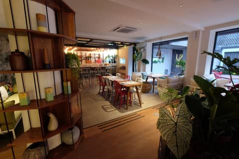 YATS Colony — photo 2
