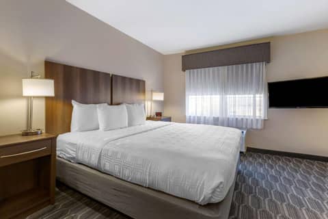 Best Western North Phoenix Hotel — photo 3