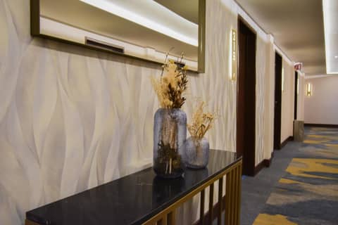 Hotel Plaza Diana — photo 5