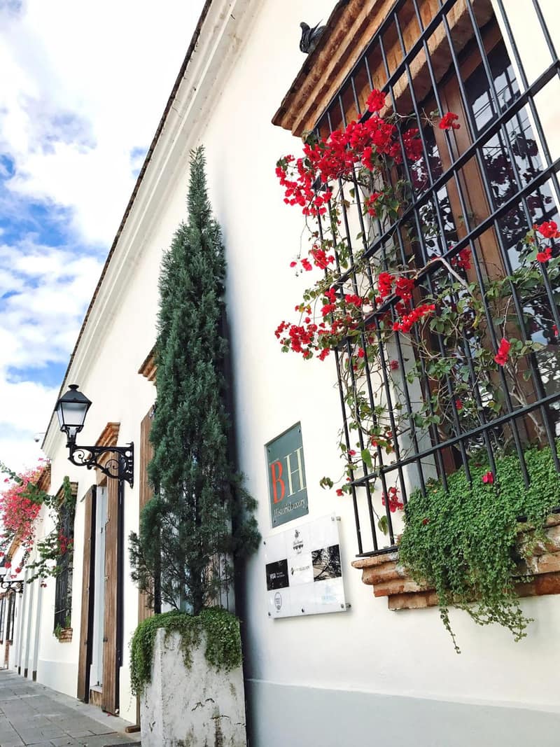Billini Hotel, Historic Luxury — building