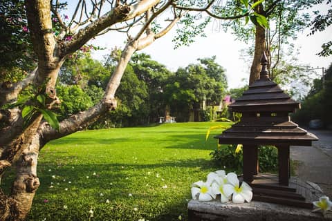 Natural Park Resort — photo 9