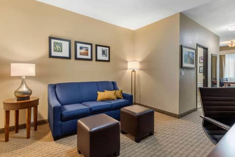 Comfort Suites San Antonio Airport North — photo 3