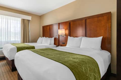 Comfort Suites San Antonio Airport North — photo 9