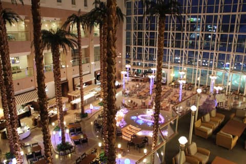 Chateraise Gateaux Kingdom Sapporo — recepcion & lobby