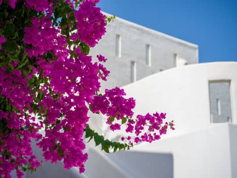 Knossos Beach Bungalows Suites Resort & Spa — photo 8