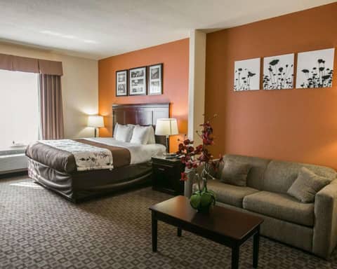 Sleep Inn & Suites Hwy 290-NW Freeway — photo 6