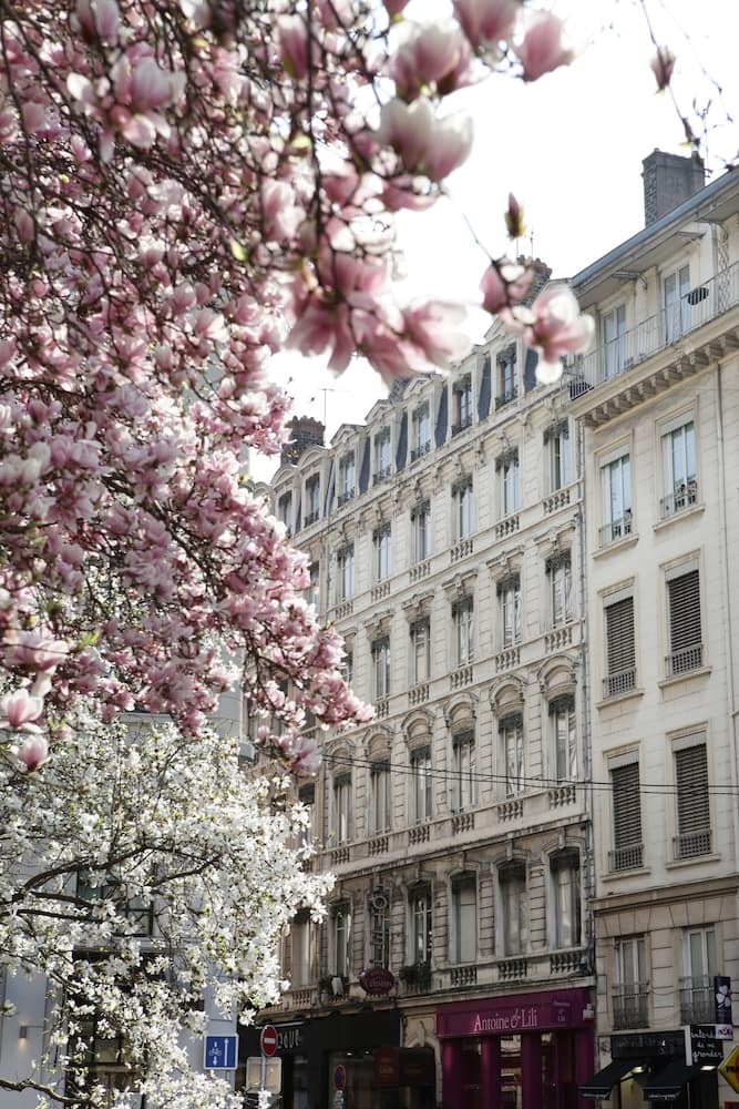 Hôtel des Célestins — building