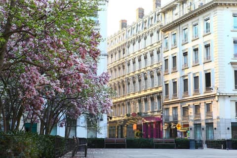 Hôtel des Célestins — photo 2
