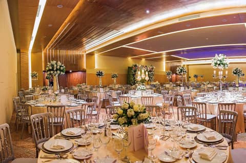 MS Milenium Monterrey Curio Collection by Hilton — photo 3