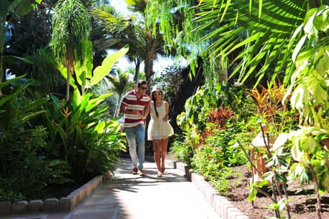 Hotel Parque Tropical — photo 2