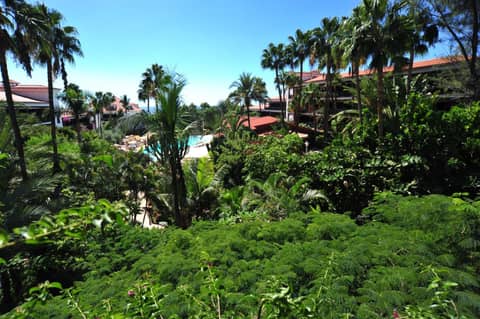 Hotel Parque Tropical — photo 7