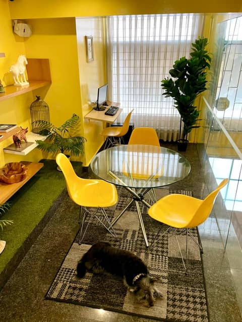 Hotel Living 55 — photo 6